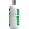 CARR & DAY & MARTIN Gallop Medicated Shampoo