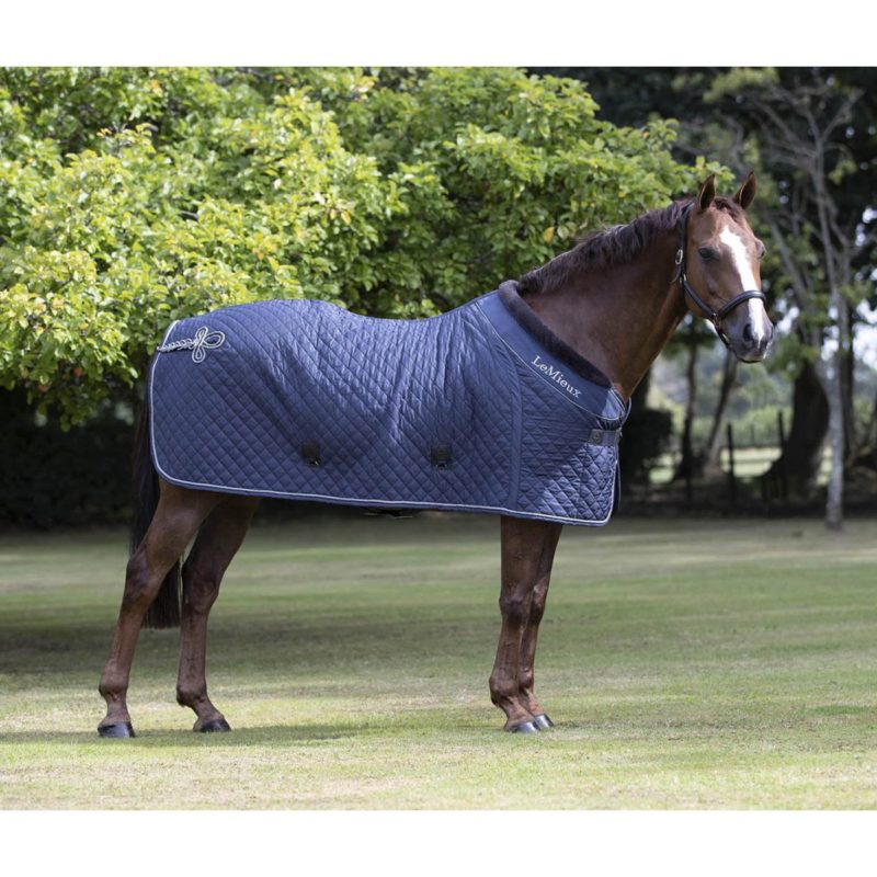Horselab.dk