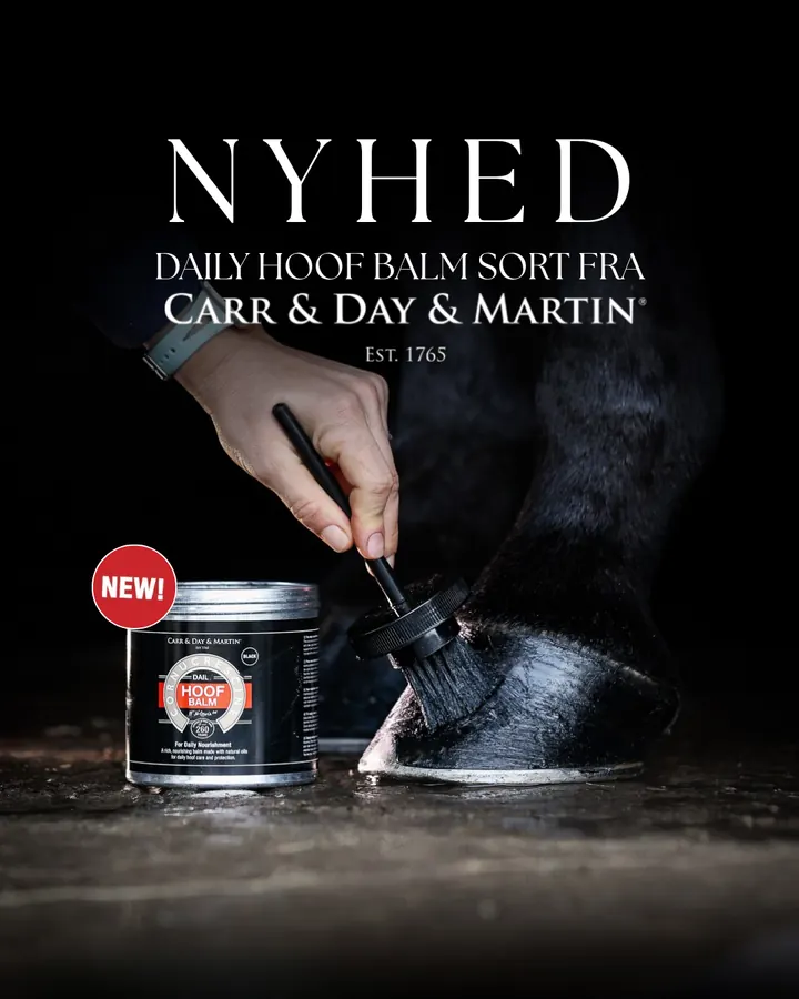 Carr & Day & Martin Daily Hoof Balm Black 500 ml på sort hov