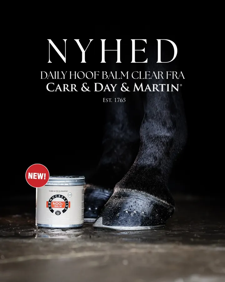 Carr & Day & Martin Daily Hoof Balm Clear 500 ml på naturlig hov